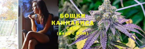 гидропоника Белокуриха