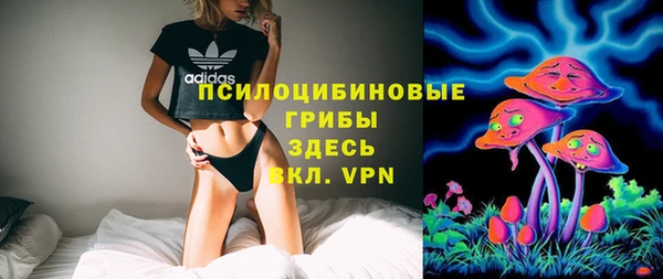 гидропоника Белокуриха