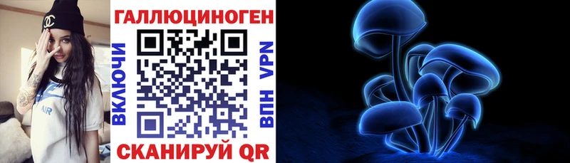 где купить наркоту  Макаров  Псилоцибиновые грибы ЛСД 