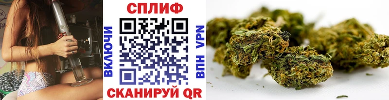 hydra зеркало  продажа наркотиков  Макаров  МАРИХУАНА VHQ 